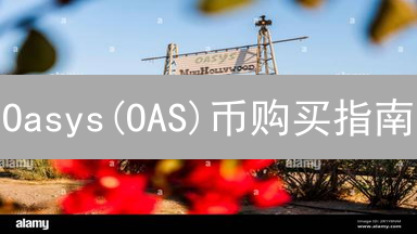 Oasys(OAS)币购买指南：2024最新平台选择与交易技巧！