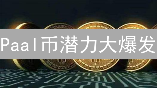 Paal币潜力大爆发？深度剖析未来价值与投资机遇！