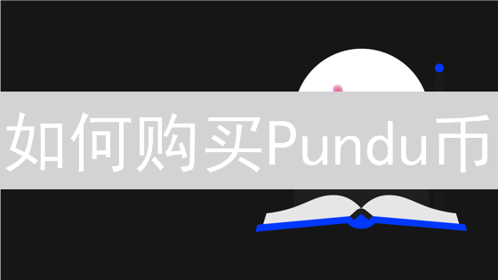 如何购买Pundu币？新手购买Pundu币的快速指南【2024最新】