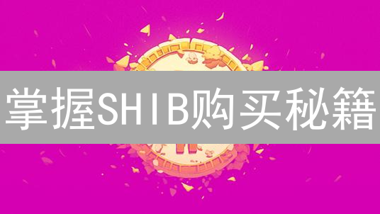 掌握SHIB购买秘籍：Gemini交易所快速交易攻略！