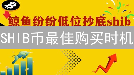 SHIB币最佳购买时机：综合分析与策略指南