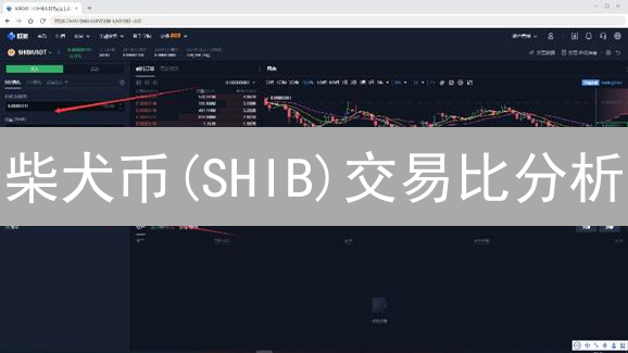 柴犬币(SHIB)交易比分析：如何判断迷因币的真实价值？现在还能入场吗？