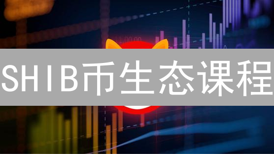 SHIB币生态课程：从入门到精通，玩转柴犬币世界！