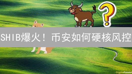 SHIB爆火！币安如何硬核风控？散户如何自保？速看！