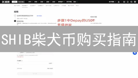 SHIB柴犬币购买指南：新手也能轻松上手？不看后悔！
