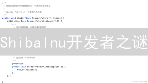 ShibaInu开发者之谜：匿名性与去中心化的挑战