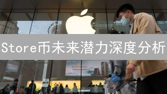 Store币未来潜力深度分析：技术、市场与竞争