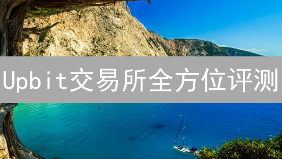 Upbit交易所全方位评测：韩国龙头，优势与风险并存！