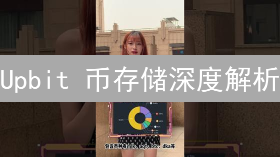 Upbit 币存储深度解析：如何安全高效地存储你的数字资产？