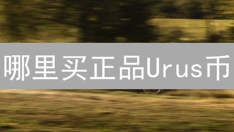 哪里买正品Urus币？购买指南与风险提示
