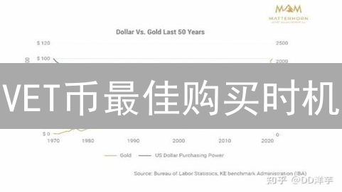 VET币最佳购买时机：技术与基本面分析