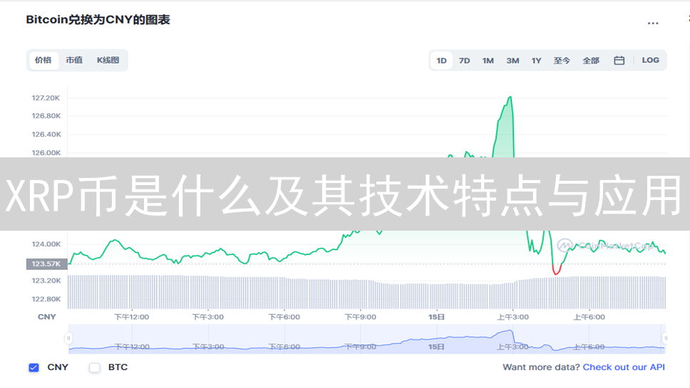 XRP币是什么及其技术特点与应用